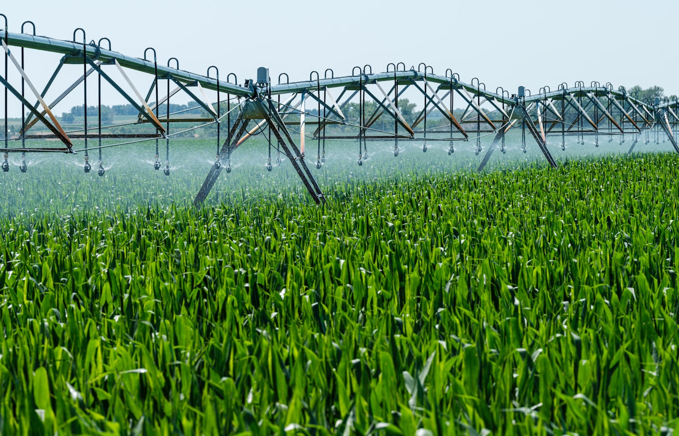 PURO Kalkschutz in der Bewässerung: Hauptleitung, Filter und Pumpwerk versorgen Tropfbewässerung und Beregnung mit kalkarm behandeltem Wasser