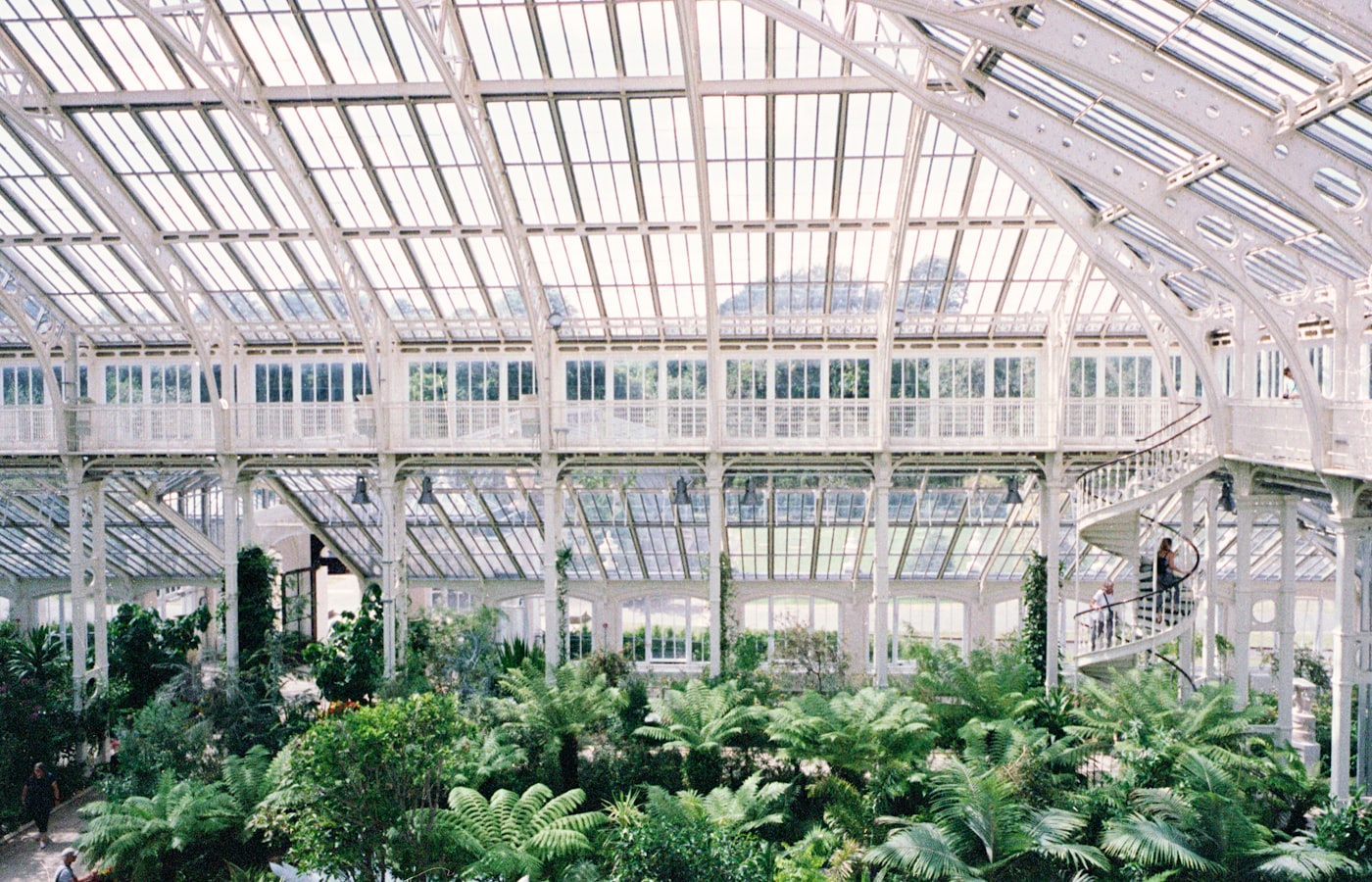Gewächshaus, Gartenbau & Nebeltechnik